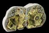 Wide, Crystal Filled Septarian Geode Bookends - Utah #160165-1